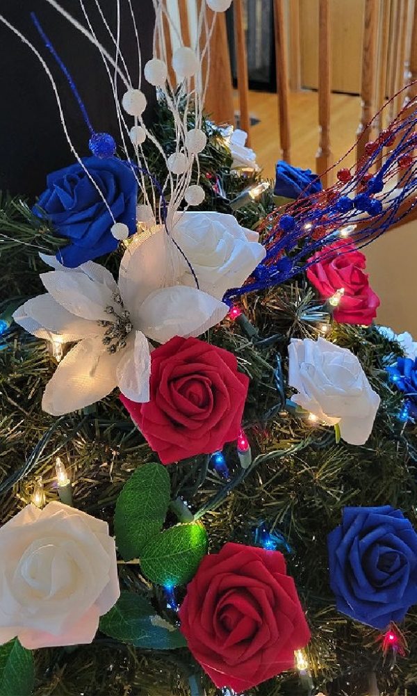 A Dream for Victory - Red, White & Blue - Image 3