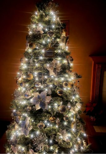 Deborah's Christmas Tree of 2025